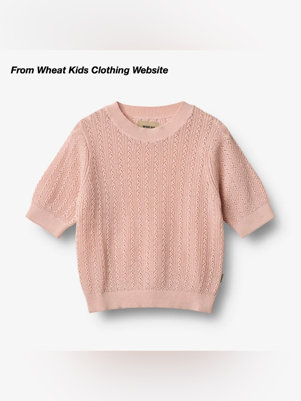 EUC: WHEAT ALVA KNIT SWEATER TOP IN POWDER PINK (3Y)